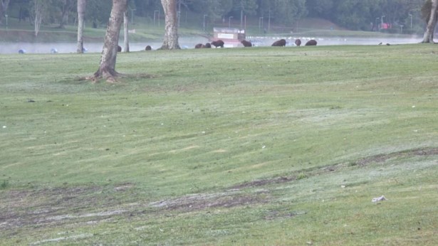 Paraná registra -2,4ºC e sensação de -7,5ºC.