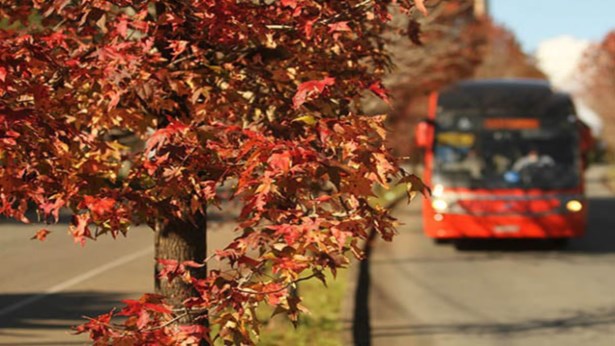 Veja quando chega a primeira onda de frio no Paraná neste outono de tardes escaldantes