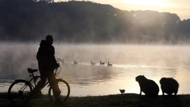 Paraná deve amanhecer com temperaturas abaixo dos 7°C nesta segunda
