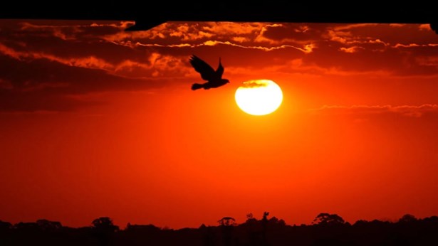 Paraná terá calor de até 30°C antes da volta do frio